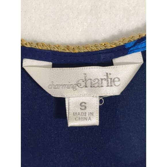 Charming Charlie Maxi Dress Womens Small Blue Floral Sleeveless Long - Picture 5 of 10